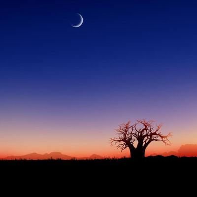 中欧体育app下载安装